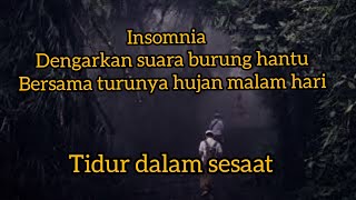 Download lagu suara burung hantu bersama dengan suara hujan di hutan menambah suasana malam | meditasi tubuh |. mp3