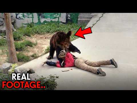 The Last Footage Of People EATEN ALIVE By Animals...