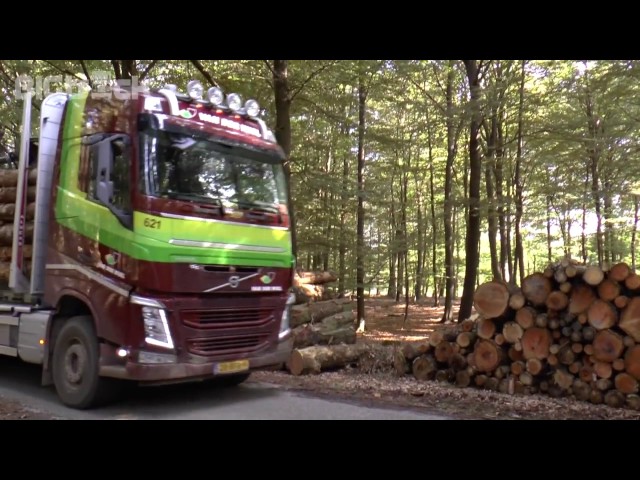 Nieuwe Volvo's voor Van der Wiel rondhoutvervoer