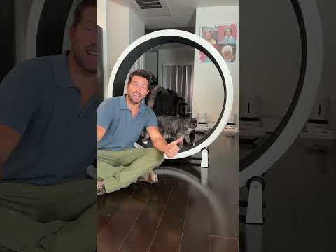 Theodora’s Favorite Workout 😼🐾