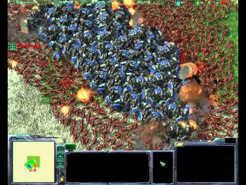 2000 Zergling vs 50 Thor