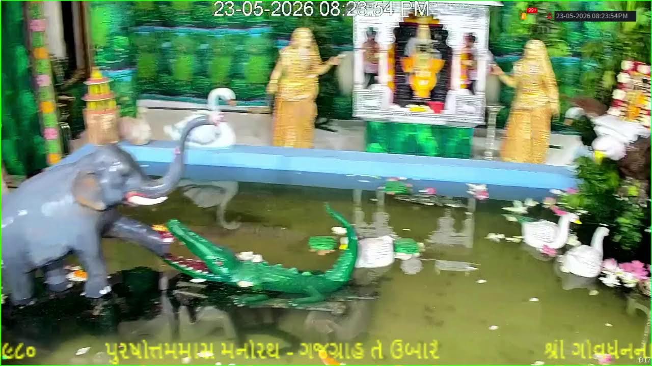 Live Darshan