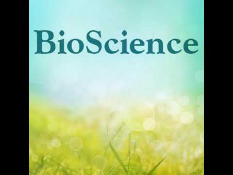 Tracking Aedes aegypti across the Ages