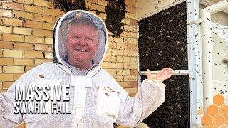 Bee Swarm Takes Over a House: Can We Save Them? | The Bush Bee Man