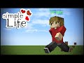 Simple Life THE START AND END