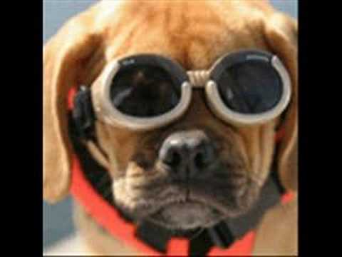 (liksom) fremmed rase- mordi