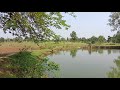 Is Qadar Tumse Hamein Pyar Ho Gya Whatsapp Status Nature Video TNP WORLD CREATION