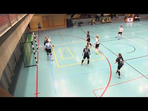 Naisten futsal-liiga 2018-2019 / MuSaFutsal vs. Ylöjärven Ilves maalikooste 27.1.2019