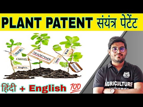 defination allopolyploid allopolyploid kya hai allopolyploid in hindi what is allopolyploid