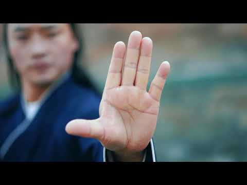 Wudang Baguazhang！