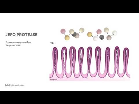 Jefo Protease animation