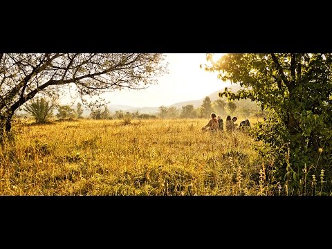 Lost Theory festival Official After Movie