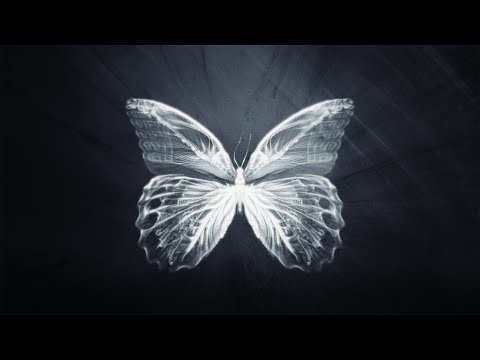 Natos y Waor and RECYCLEDJ