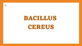 Bacillus cereus | Fried rice Syndrome or Food Poisoning (Morphology, Pathogenesis, Lab Diagnosis)
