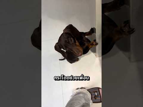 ดัชชุนใจสลาย...เมื่อเพื่อนรักโดนแม่จับกดน้ํา!