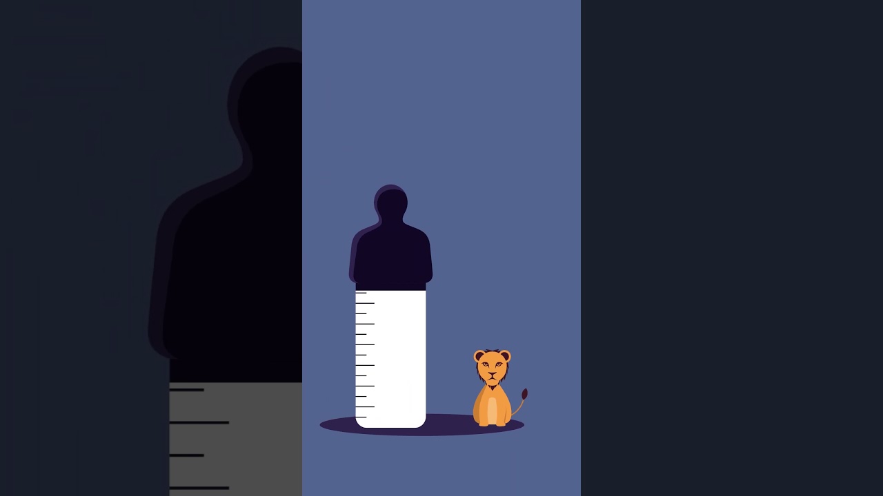 World Lion Day 2024: You're Killing Them Softly