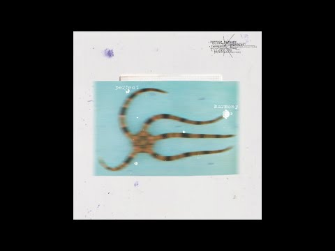 Guy Contact & Solar Suite - Perfect Harmony Ft. Sa+Ga