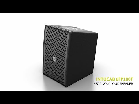 INTUSONIC 6FP100T 6,5 Zoll 2-Wege Fullrange Lautsprecher wei?