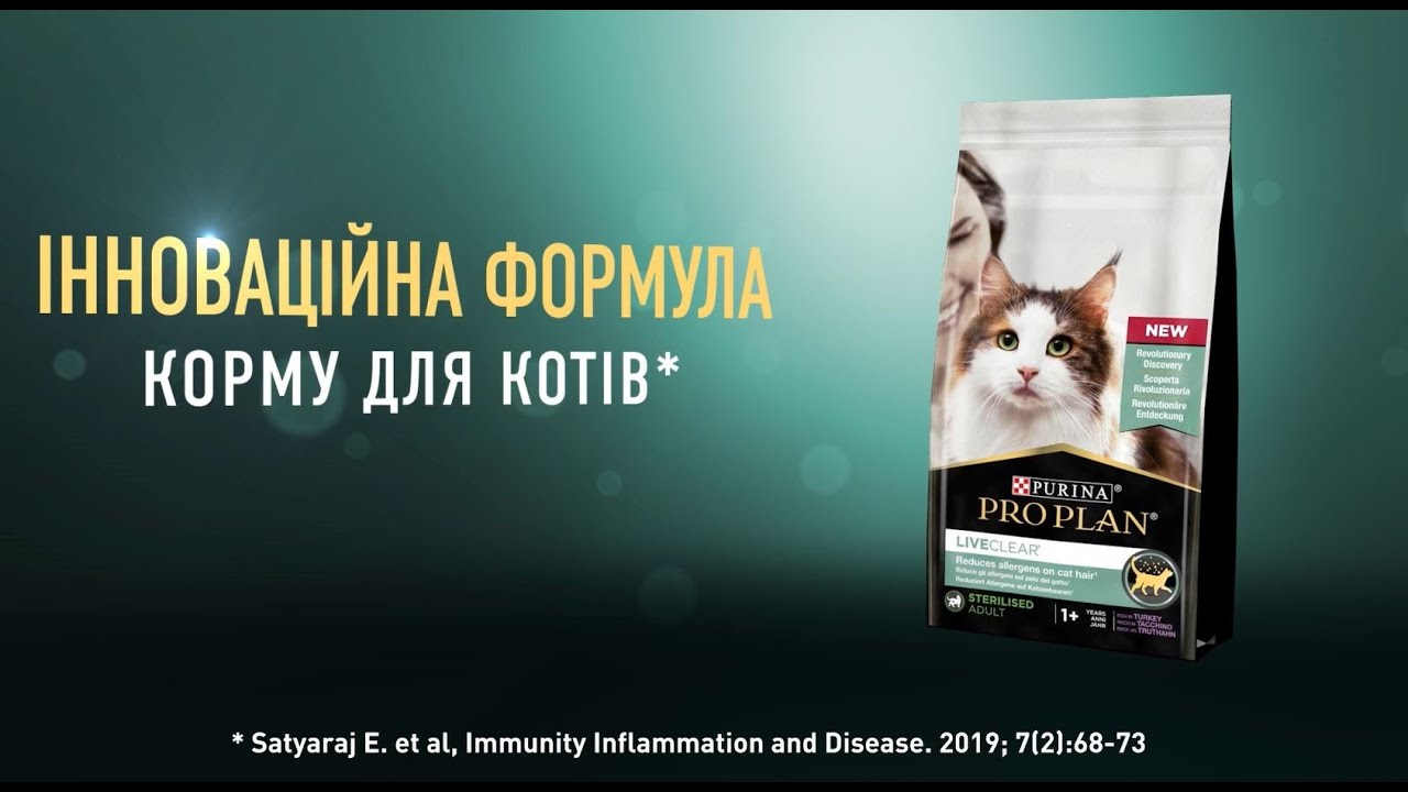 YouTube video preview