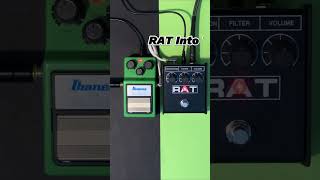 ProCo RAT vs Ibanez TS9 #guitarpedals