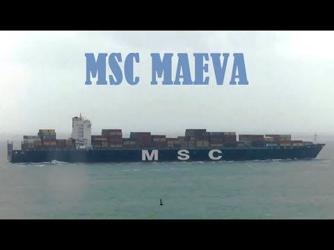Shipspotting - Westerschelde @ Terneuzen - "Msc Maeva" - 17-03-2018