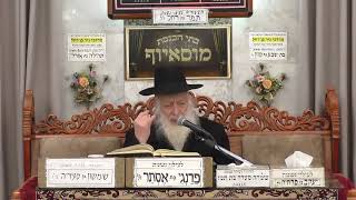 הרב דוד פחימה | שלושים יום לפני הפסח שו"ת בהלכה | מוסאיוף (בית הכנסת מוסאיוף) - התמונה מוצגת ישירות מתוך אתר האינטרנט יוטיוב. זכויות היוצרים בתמונה שייכות ליוצרה. קישור קרדיט למקור התוכן נמצא בתוך דף הסרטון