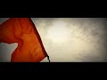 Ashadhi Ekadashi Status Mauli Mauli Song Whatsapp Status