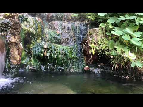 Crystal bath - Energetic cleansing and purification- Hot Springs Cascade