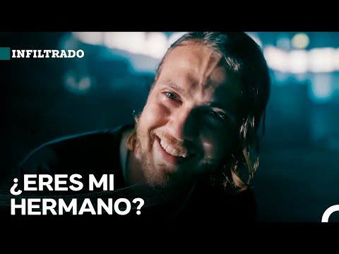 Operación Para Destruir A La Mafia #1: Hermanos Reunidos - Infiltrado