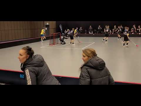 230105 SDF-SM💥💯🏑👍👏 P16 Fortsättning på Period 3 Gävleborg-Västsvenska Rosvalla B-Hall