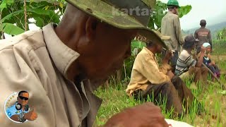 Download lagu BALADA WAGIMAN TUA - Franky Sahilatua | Tembang Nostalgia Legendaris mp3