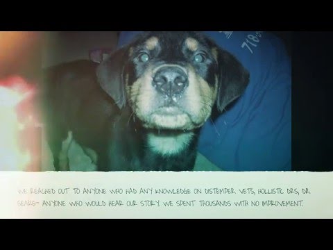 Titan- Distemper Journey