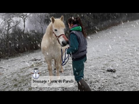 Jeux de Pat Parelli + Monte à cru