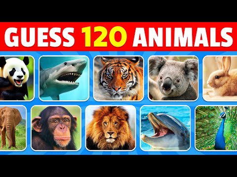 Guess 120 Animals in 3 Seconds | Easy, Medium, Hard, Impossible