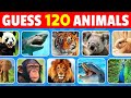 Guess 120 Animals In 3 Seconds Easy Medium Hard Impossible