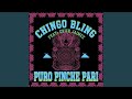 Puro Pinche Pari