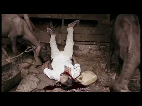 VIDEO SONGS-2nd Video Song