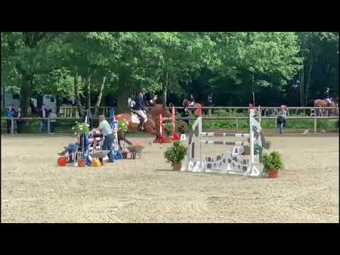 Turnierimpressionen | Del Arko in Bad Segeberg 2019