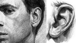 Рисуем ухо человека в увеличенном размере - Видео онлайн
