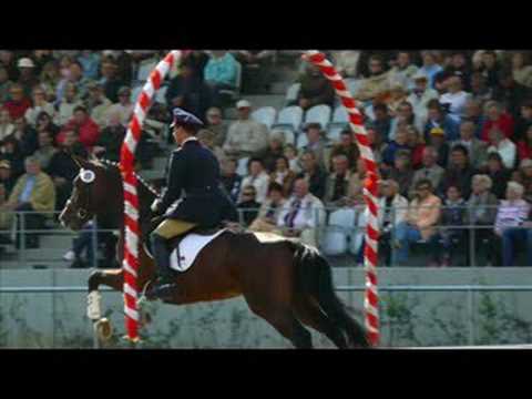 Bilder der Hengstparade 2008