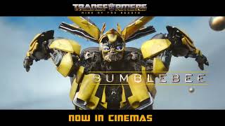 Transformers: Rise of the Beasts (2023) Video