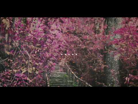 ITU AKU - FEKI MANUPUTTY - cover ACOM TALAMBURANG - official music 2020 2021.