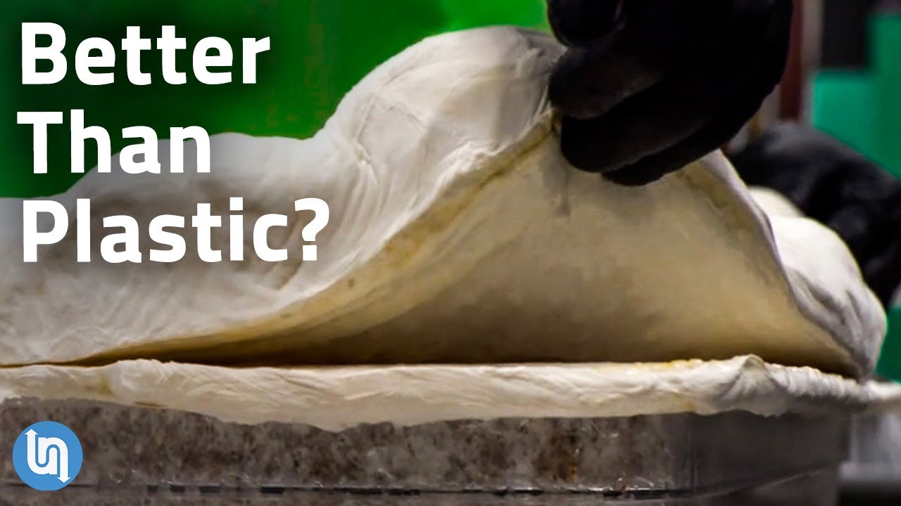 Is Mycelium Fungus the Plastic of the Future?