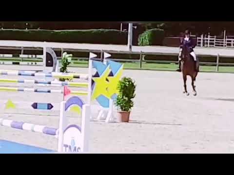 Holsteiner mare, 2013, Uriko x Quirado