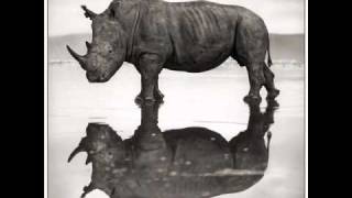 Alen Sforzina - Rhinoceros (Original Mix)