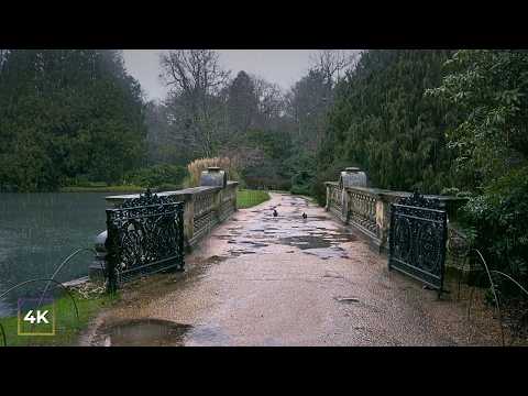 Relaxing Heavy Rain Walks in Nature 🌧️ Rain Walks for Sleep, Study & Stress Relief | 4K Rain ASMR HD