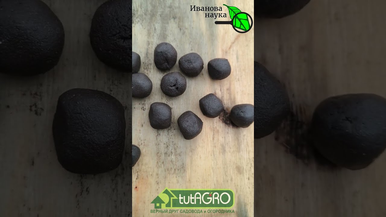 ЧУДО КИТАЙСКОЙ МЕДИЦИНЫ... для растений СВОИМИ РУКАМИ! Болюсы Хуато для расте