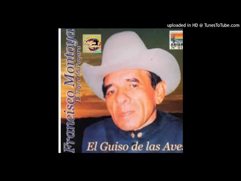 Francisco montoya. 2_ cucarachero araucano