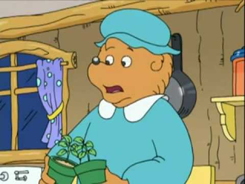 The Berenstain Bears   Don't Pollute Anymore (2-2)