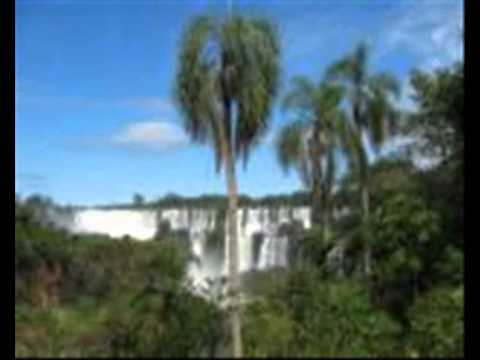 BULLDUB   DUBHOPMASTER